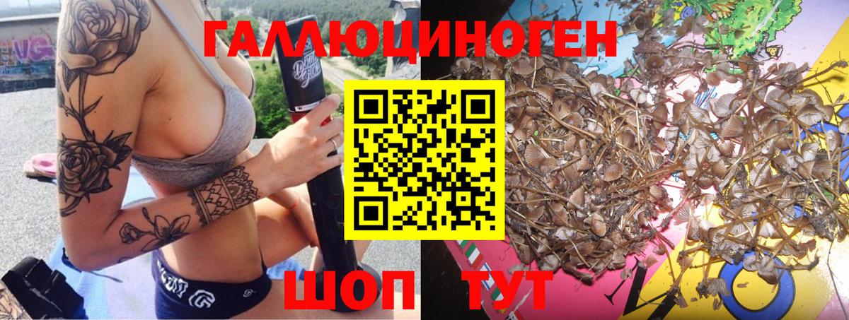 как найти закладки  Вход с VPN  Дубна  Псилоцибиновые грибы Psilocybine cubensis 
