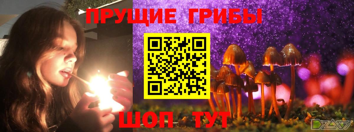 Псилоцибиновые грибы MAGIC MUSHROOMS Дубна
